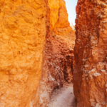 0709 Image